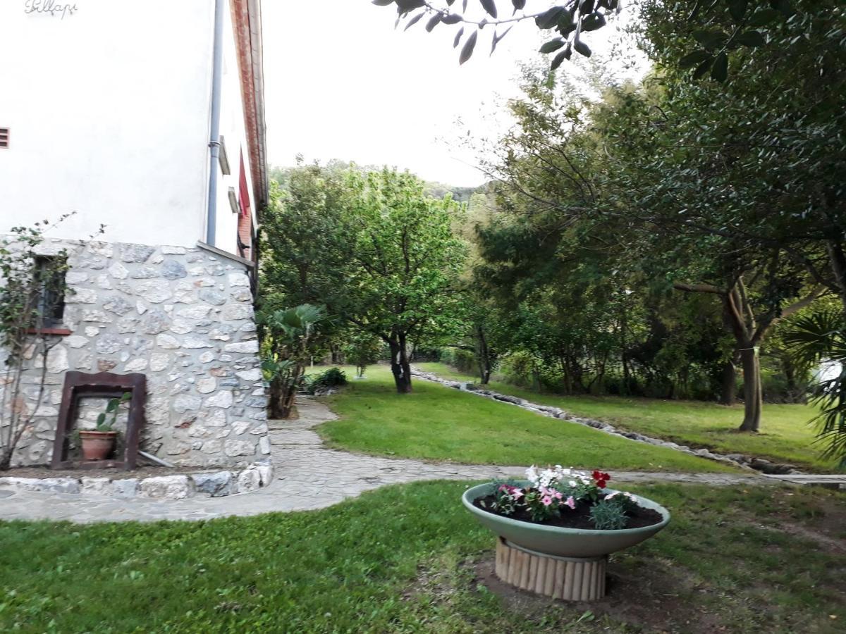 Havre De Paix Entre Mer Et Montagne A Ceret Pour 4 A 5 Pers Exterior photo